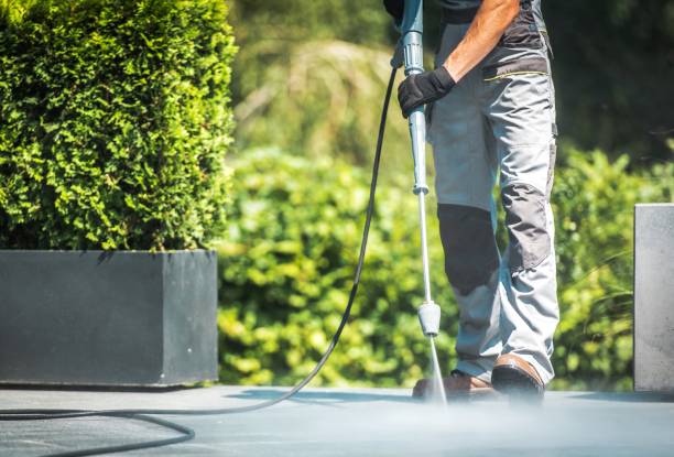 Best Solar Panel Cleaning  in Kennedale, TX